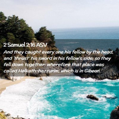 Picture 02 - 2 Samuel 2:16 ASV - And they caught every one his fellow by the head, - Bible Verse Picture