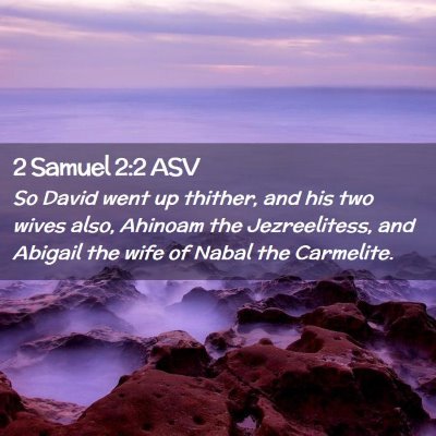 Picture 02 - 2 Samuel 2:2 ASV - So David went up thither, and his two wives also, - Bible Verse Picture