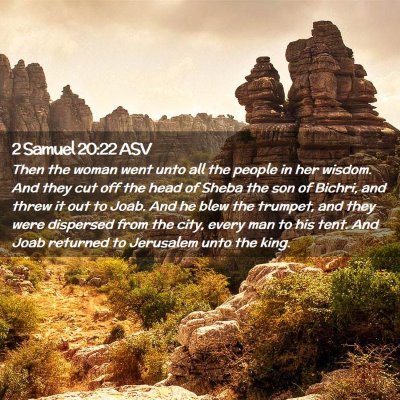 Picture 02 - 2 Samuel 20:22 ASV - Then the woman went unto all the people in her - Bible Verse Picture