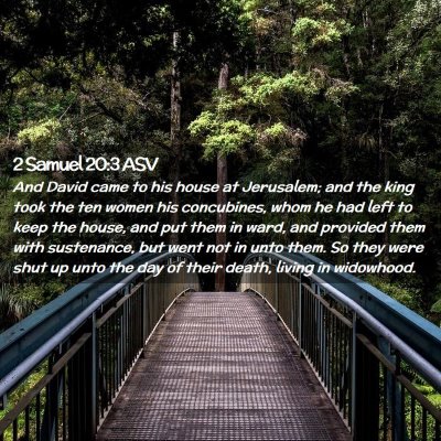 Picture 02 - 2 Samuel 20:3 ASV - And David came to his house at Jerusalem; and the - Bible Verse Picture