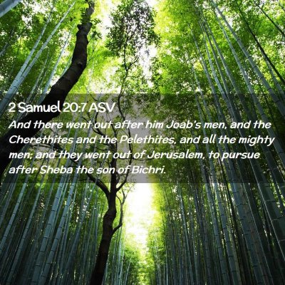 Picture 02 - 2 Samuel 20:7 ASV - And there went out after him Joab's men, and the - Bible Verse Picture