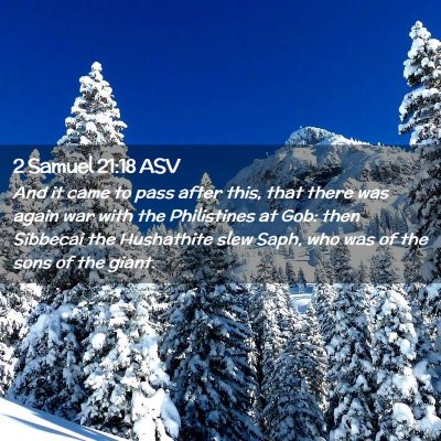 Picture 02 - 2 Samuel 21:18 ASV - And it came to pass after this, that there was - Bible Verse Picture