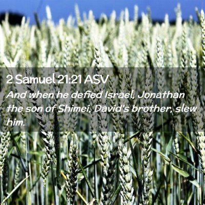 Picture 02 - 2 Samuel 21:21 ASV - And when he defied Israel, Jonathan the son of - Bible Verse Picture