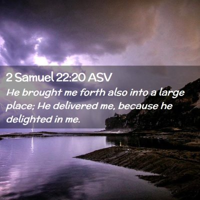 Picture 02 - 2 Samuel 22:20 ASV - He brought me forth also into a large place; He - Bible Verse Picture