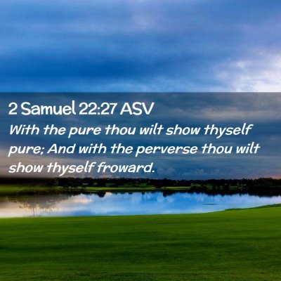 Picture 02 - 2 Samuel 22:27 ASV - With the pure thou wilt show thyself pure; And - Bible Verse Picture