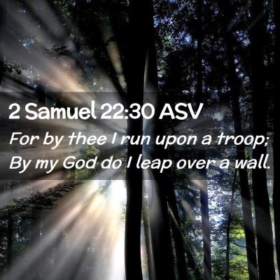 Picture 02 - 2 Samuel 22:30 ASV - For by thee I run upon a troop; By my God do I - Bible Verse Picture
