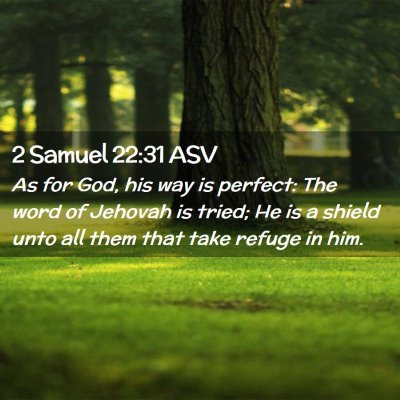 Picture 02 - 2 Samuel 22:31 ASV - As for God, his way is perfect: The word of - Bible Verse Picture