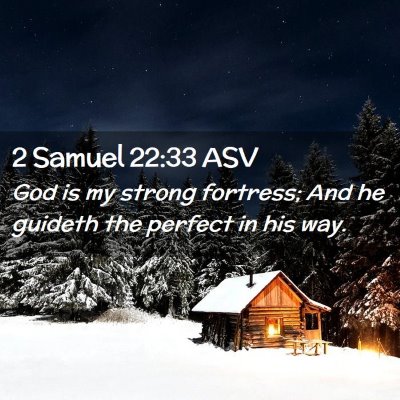 Picture 02 - 2 Samuel 22:33 ASV - God is my strong fortress; And he guideth the - Bible Verse Picture