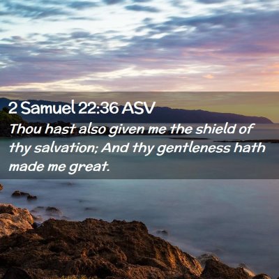 Picture 02 - 2 Samuel 22:36 ASV - Thou hast also given me the shield of thy - Bible Verse Picture