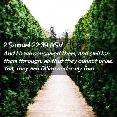 Picture 02 - 2 Samuel 22:39 ASV - And I have consumed them, and smitten them - Bible Verse Picture