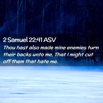 Picture 02 - 2 Samuel 22:41 ASV - Thou hast also made mine enemies turn their backs - Bible Verse Picture
