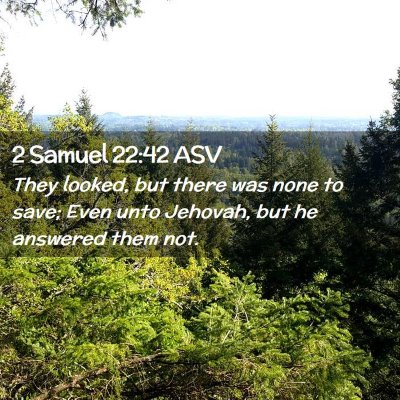 Picture 02 - 2 Samuel 22:42 ASV - They looked, but there was none to save; Even - Bible Verse Picture