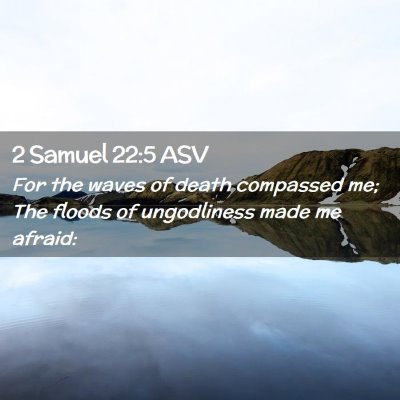 Picture 02 - 2 Samuel 22:5 ASV - For the waves of death compassed me; The floods - Bible Verse Picture