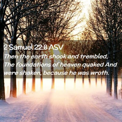 Picture 02 - 2 Samuel 22:8 ASV - Then the earth shook and trembled, The - Bible Verse Picture