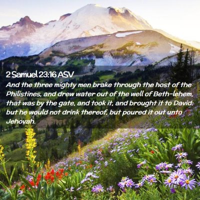 Picture 02 - 2 Samuel 23:16 ASV - And the three mighty men brake through the host - Bible Verse Picture