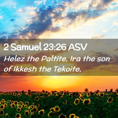 Picture 02 - 2 Samuel 23:26 ASV - Helez the Paltite, Ira the son of Ikkesh the - Bible Verse Picture