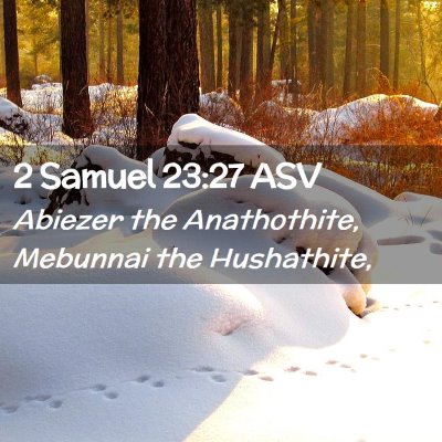 Picture 02 - 2 Samuel 23:27 ASV - Abiezer the Anathothite, Mebunnai the - Bible Verse Picture