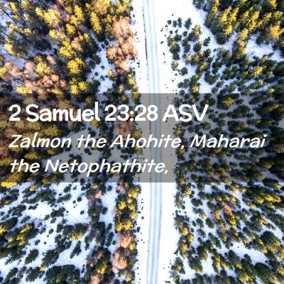 Picture 02 - 2 Samuel 23:28 ASV - Zalmon the Ahohite, Maharai the - Bible Verse Picture