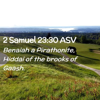 Picture 02 - 2 Samuel 23:30 ASV - Benaiah a Pirathonite, Hiddai of the brooks of - Bible Verse Picture