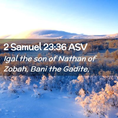 Picture 02 - 2 Samuel 23:36 ASV - Igal the son of Nathan of Zobah, Bani the - Bible Verse Picture