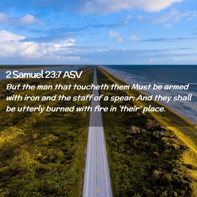 Picture 02 - 2 Samuel 23:7 ASV - But the man that toucheth them Must be armed with - Bible Verse Picture