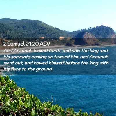 Picture 02 - 2 Samuel 24:20 ASV - And Araunah looked forth, and saw the king and - Bible Verse Picture
