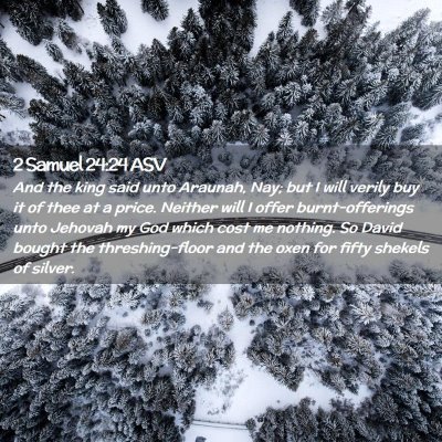 Picture 02 - 2 Samuel 24:24 ASV - And the king said unto Araunah, Nay; but I will - Bible Verse Picture