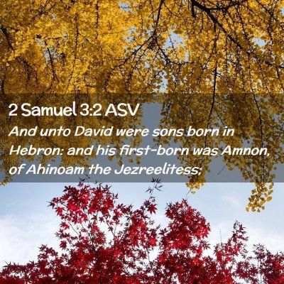 Picture 02 - 2 Samuel 3:2 ASV - And unto David were sons born in Hebron: and his - Bible Verse Picture