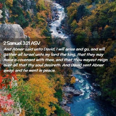Picture 02 - 2 Samuel 3:21 ASV - And Abner said unto David, I will arise and go, - Bible Verse Picture
