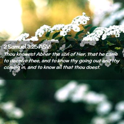 Picture 02 - 2 Samuel 3:25 ASV - Thou knowest Abner the son of Ner, that he came - Bible Verse Picture