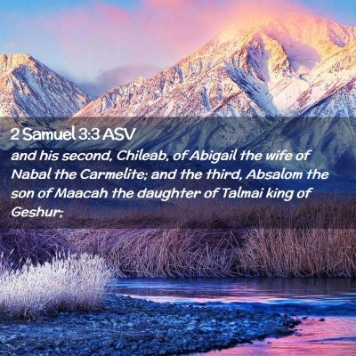 Picture 02 - 2 Samuel 3:3 ASV - and his second, Chileab, of Abigail the wife of - Bible Verse Picture