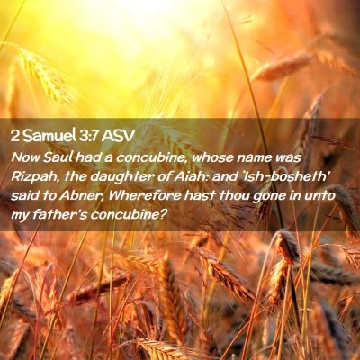 Picture 02 - 2 Samuel 3:7 ASV - Now Saul had a concubine, whose name was Rizpah, - Bible Verse Picture