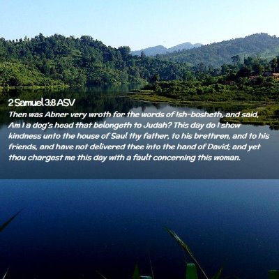 Picture 02 - 2 Samuel 3:8 ASV - Then was Abner very wroth for the words of - Bible Verse Picture