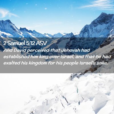 Picture 02 - 2 Samuel 5:12 ASV - And David perceived that Jehovah had established - Bible Verse Picture