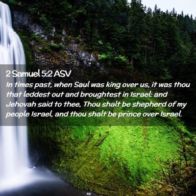 Picture 02 - 2 Samuel 5:2 ASV - In times past, when Saul was king over us, it was - Bible Verse Picture
