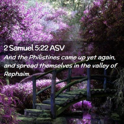 Picture 02 - 2 Samuel 5:22 ASV - And the Philistines came up yet again, and spread - Bible Verse Picture