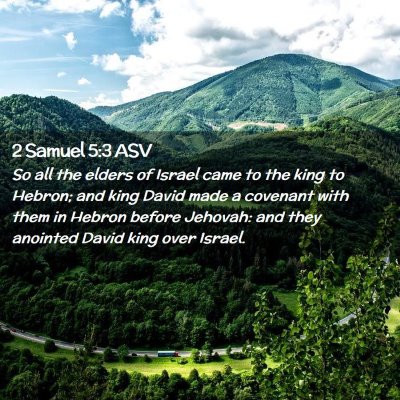 Picture 02 - 2 Samuel 5:3 ASV - So all the elders of Israel came to the king to - Bible Verse Picture