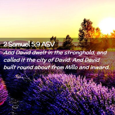 Picture 02 - 2 Samuel 5:9 ASV - And David dwelt in the stronghold, and called it - Bible Verse Picture