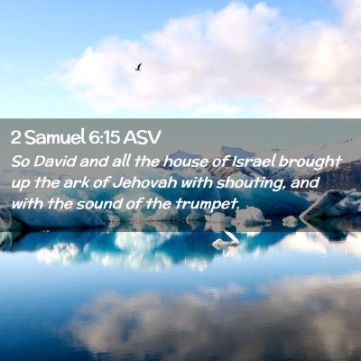 Picture 02 - 2 Samuel 6:15 ASV - So David and all the house of Israel brought up - Bible Verse Picture