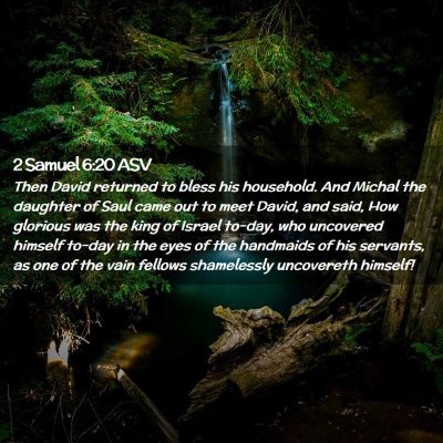 Picture 02 - 2 Samuel 6:20 ASV - Then David returned to bless his household. And - Bible Verse Picture