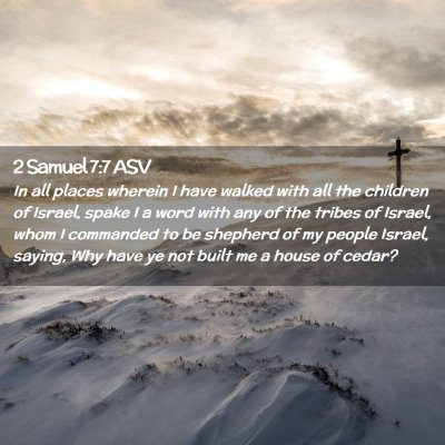 Picture 02 - 2 Samuel 7:7 ASV - In all places wherein I have walked with all the - Bible Verse Picture