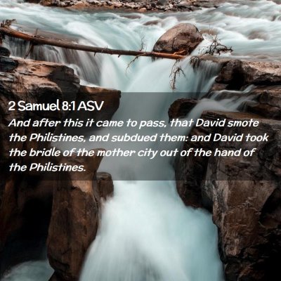 Picture 02 - 2 Samuel 8:1 ASV - And after this it came to pass, that David smote - Bible Verse Picture