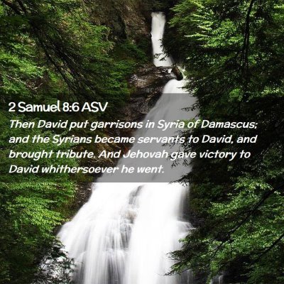 Picture 02 - 2 Samuel 8:6 ASV - Then David put garrisons in Syria of Damascus; - Bible Verse Picture