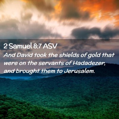 Picture 02 - 2 Samuel 8:7 ASV - And David took the shields of gold that were on - Bible Verse Picture