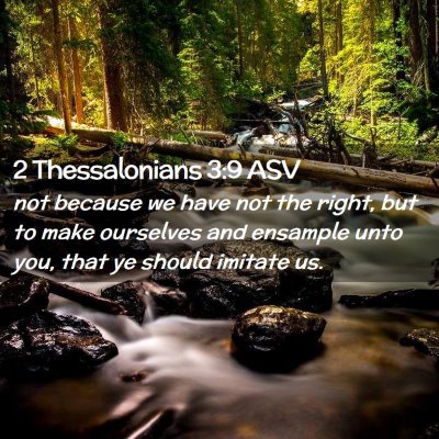 Picture 02 - 2 Thessalonians 3:9 ASV - not because we have not the right, but to make - Bible Verse Picture