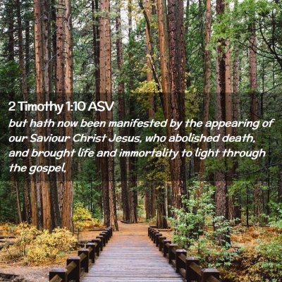 Picture 02 - 2 Timothy 1:10 ASV - but hath now been manifested by the appearing of - Bible Verse Picture