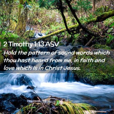 Picture 02 - 2 Timothy 1:13 ASV - Hold the pattern of sound words which thou hast - Bible Verse Picture