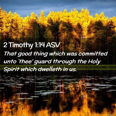 Picture 02 - 2 Timothy 1:14 ASV - That good thing which was committed unto `thee' - Bible Verse Picture