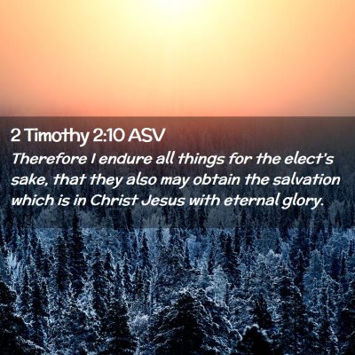 Picture 02 - 2 Timothy 2:10 ASV - Therefore I endure all things for the elect's - Bible Verse Picture