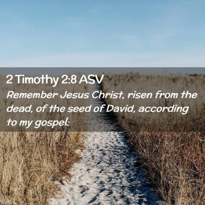 Picture 02 - 2 Timothy 2:8 ASV - Remember Jesus Christ, risen from the dead, of - Bible Verse Picture